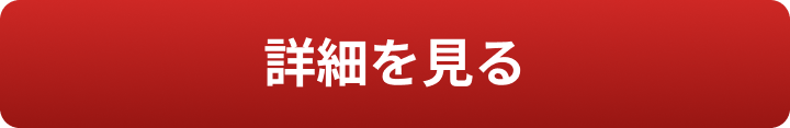 詳細を見る